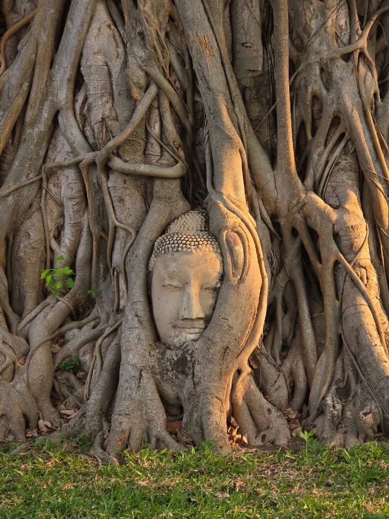 Ayutthaya